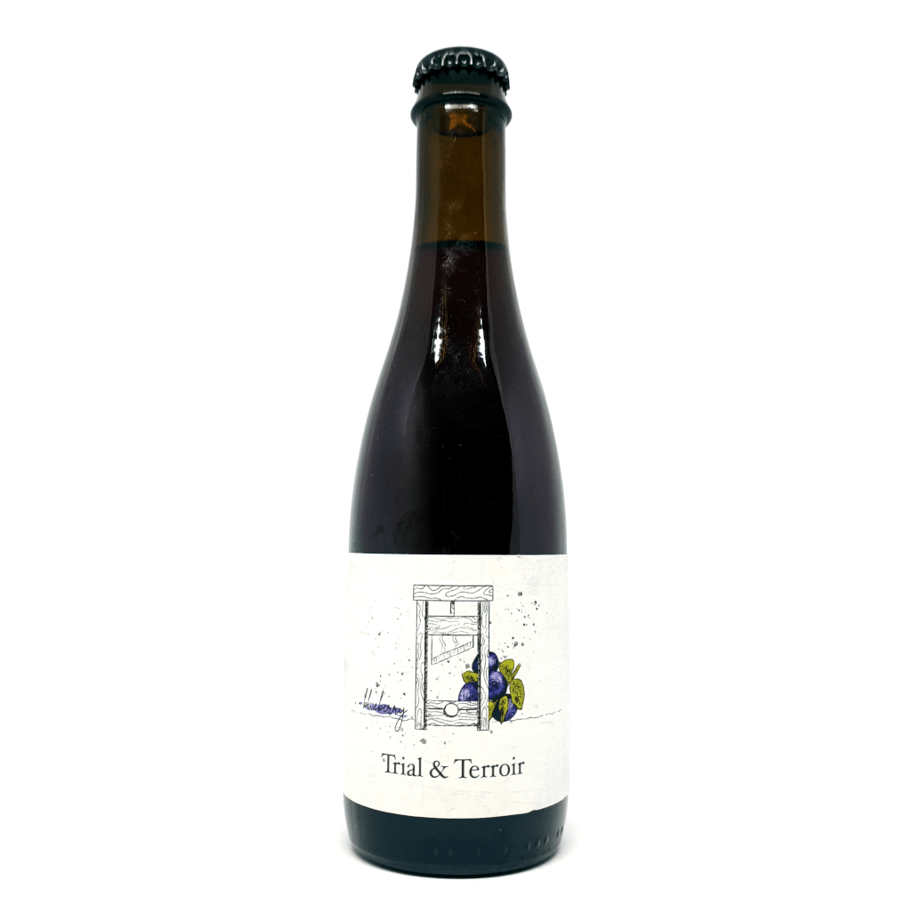 Hop Hooligans Trial & Terroir Blueberry 2019 0,375L - Beerselection