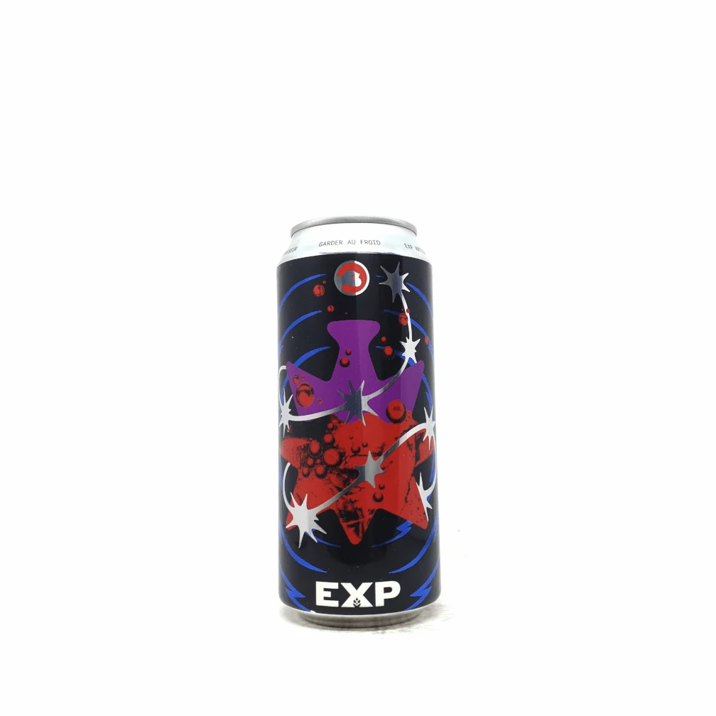 EXP Artisan Brasseur MAGIC POTION 0,473L 5,6%