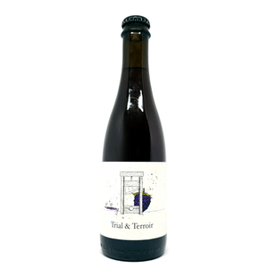 Hop Hooligans Trial & Terroir Blackberry 2020 0,375L - Beerselection