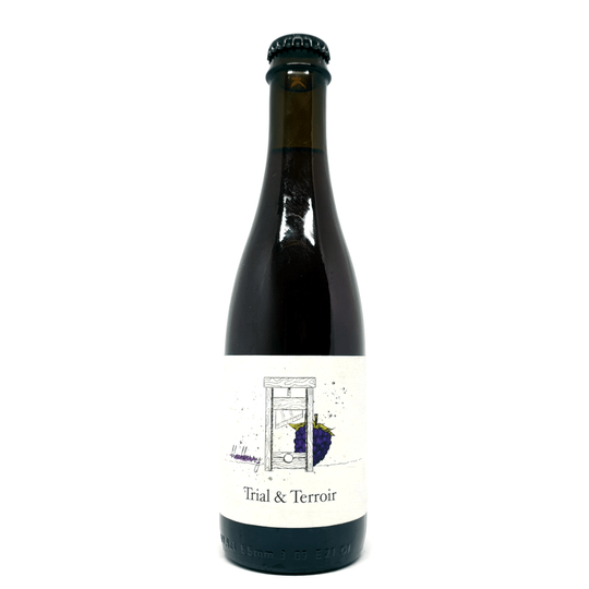 Hop Hooligans Trial & Terroir Blackberry 2020 0,375L