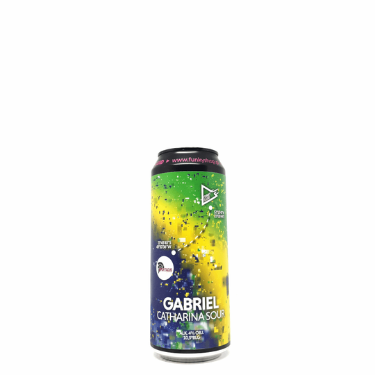 Funky Fluid Gabriel Catharina Sour 0,5L