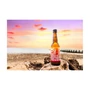 Kép 2/4 - Brewdog Electric India Vibrant Hoppy Saison 0,66L