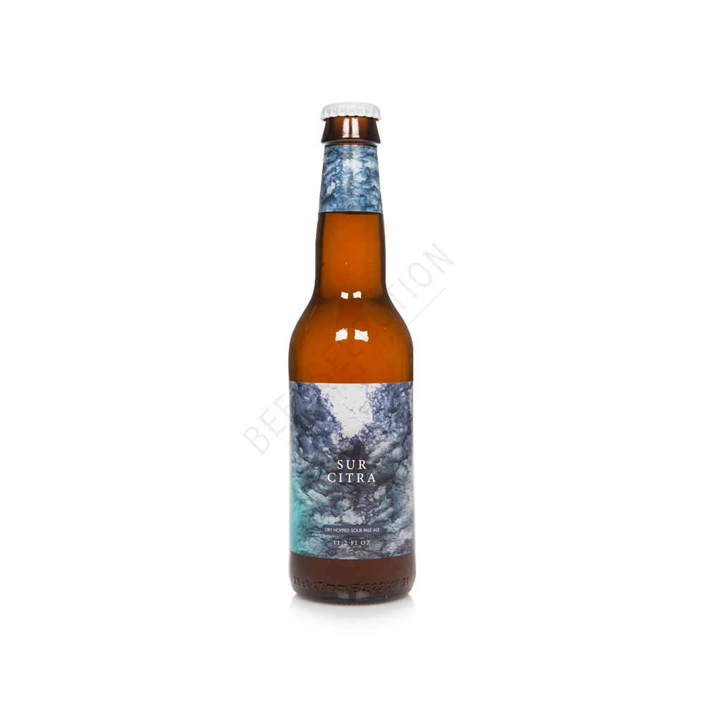 To Ol - Sur Citra Sour Pale ALE 0,33L